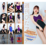 Thumbnail of related posts 060