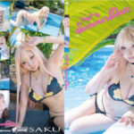 Thumbnail of related posts 088